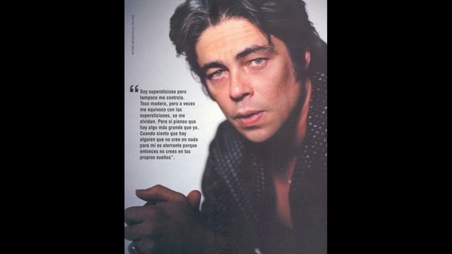 Бенисио Дель Торо ( Benicio Del Toro )