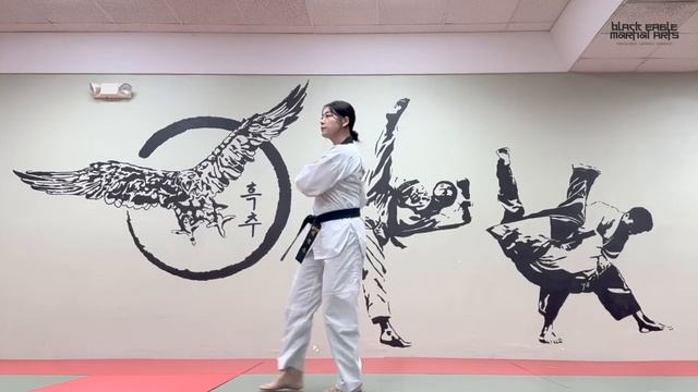 Тхэквондо, основы. Основные удары ногами. Taekwondo Basics: All Basic Kickings смотреть онлайн