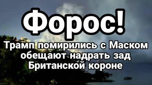 ТАМИР ШЕЙХ / ТРАМП ПОМИРИЛСЯ С МАСКОМ. ФОРОС. сводки новости