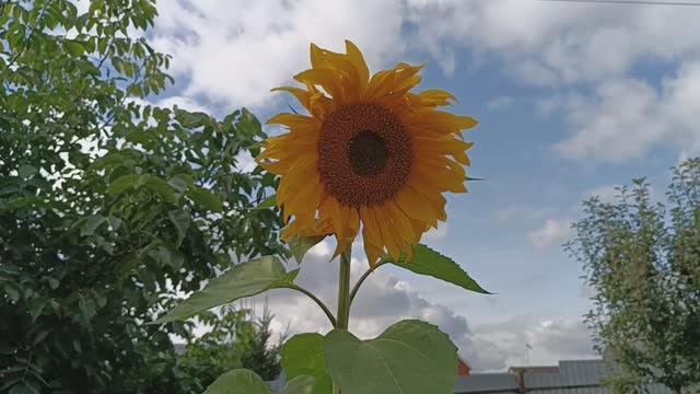 ВЫХОДНЫЕ 19,09,25 / ОСЕННИЙ САД