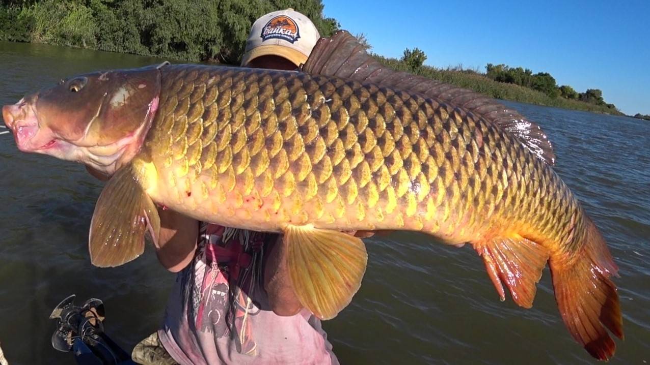 САМЫЙ БОЛЬШОЙ САЗАН! ЭТО РЫБАЛКА-КАЙФ! Невозможно остановиться и Капитан покинул борт! смотреть онлайн