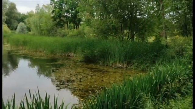 2022.07 часть первая. бот.сад самара-арена прогулки семьей