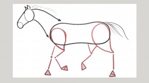 Рисуем лошадь
