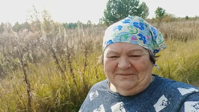 В ЛЕС за РЫЖИКАМИ / Веники, соль... смотреть онлайн