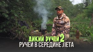 Ручей в середине лета. Дикий ручей