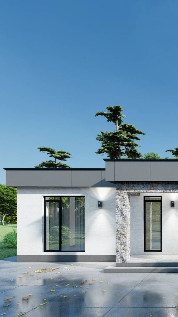 Проект одноэтажного дома смотреть онлайн