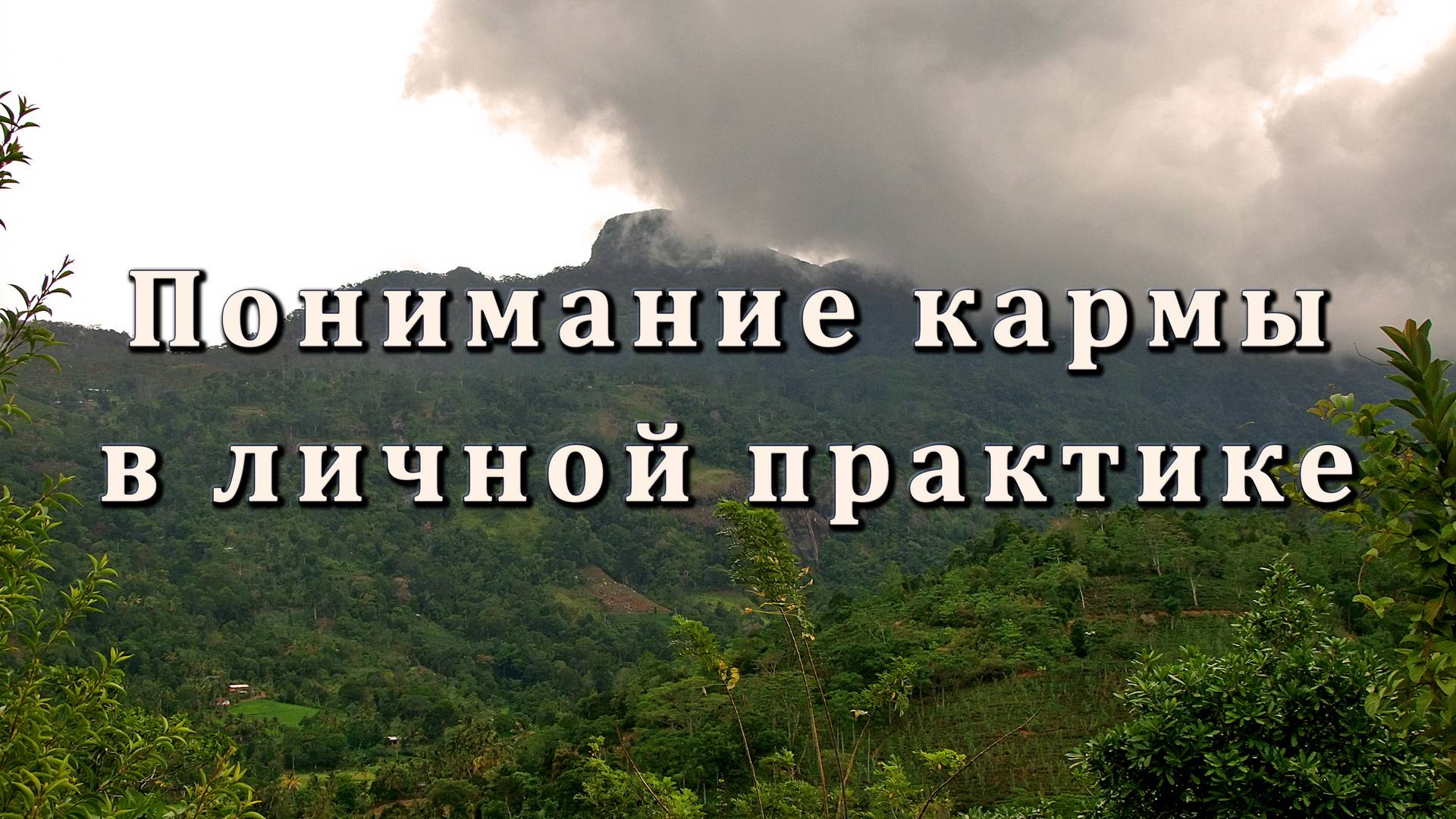 Понимание кармы в личной практике смотреть онлайн