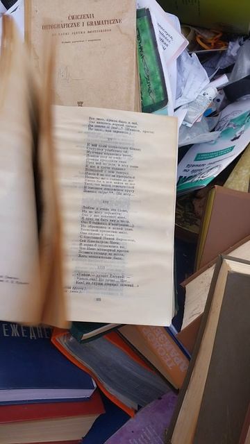Как всё поменялось, раньше ради книг на многое шли, а сейчас их выбрасывают!!! смотреть онлайн