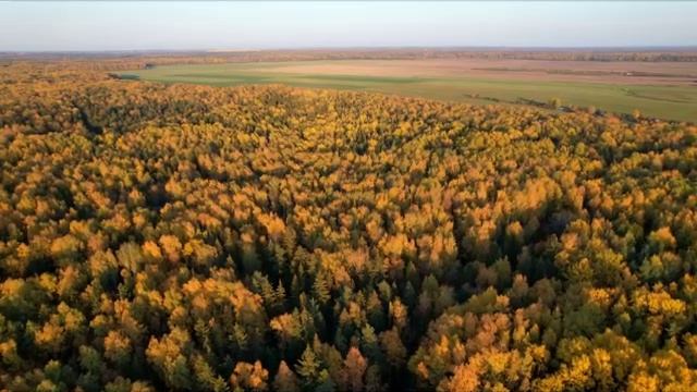 КОМЕДИЯ РОК Осень!))) смотреть онлайн