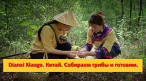 Dianxi Xiaoge. Китай. Собираем грибы и готовим.