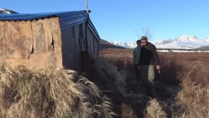 Покушение медведя на мою избушку.