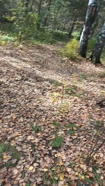 Успеть за 60 минут, поход смотреть онлайн