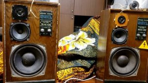 Как улучшить 35ас,25ас и любые советские колонки)