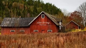 a-playlist-for-slow-living-autumn-version