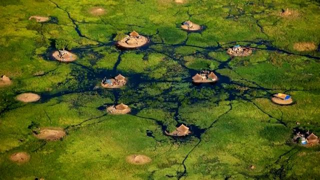 Они живут посреди самого большого болота Африки. Нилоты на болоте Судд смотреть онлайн