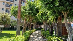 Обзор номера отеля Numa Club Side, Турция, Сиде, п.Чолаклы