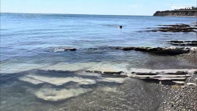 ГЕЛЕНДЖИК Пляж Голубая Бухта сегодня 22 сентября 2025. Море и погода в Геленджике сейчас. Обстановка смотреть онлайн