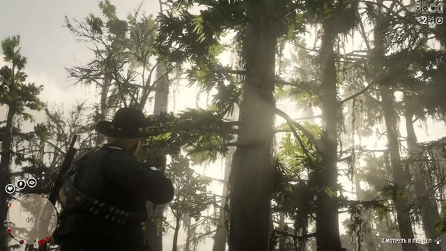 Red Dead Redemption 2 Online