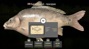 ЯНТАРКА РАЗДАЕТ РЕДКИХ КАРПОВ, ФАРМА НА ЯМЕ И МЕДНОМ В РУССКОЙ РЫБАЛКЕ 4 РР4