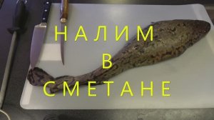 Налим в сметане