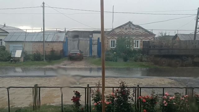 Новинка 2025.АЙГОР*КОРОЛЬ ЯДОВИТОГО САДА**О Боже что за шедевр., хорошее видео получилось.!!! смотреть онлайн