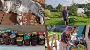 ВОСКРЕСЕНЬЕ. ЛЁШИК ВОЗИЛ ЯБЛОКИ, А Я ГОТОВИЛА ОБЕД НА ТЕРРАСЕ.