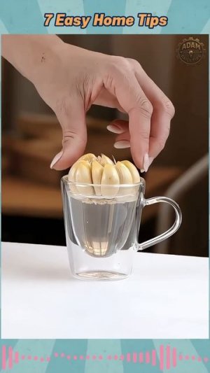 7 tips and tricks (93)