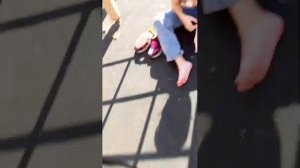 добиваемся 200 хомячки)