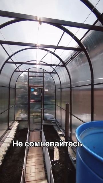 арочная крепыш смотреть онлайн