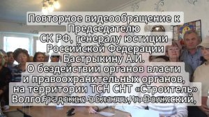 Повторное видеообращение к Бастрыкину А.И.