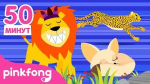 Коллекция животных песенки | Песни для детей