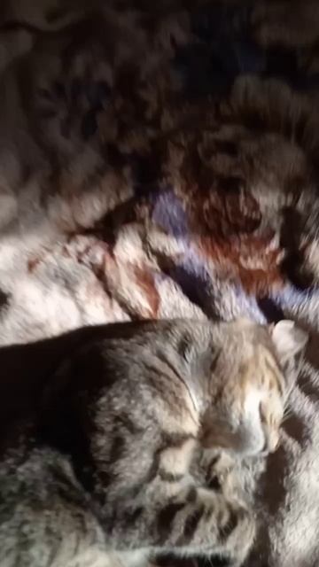 и ещё раз извинити что давно не было