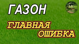 Почему газон не растёт? #ГазонОшибки #ГазонБезОшибок #ГазонСвоимиРуками