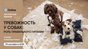 Вебинар «Тревожность у собак — что важно знать владельцу и как питание может помочь»