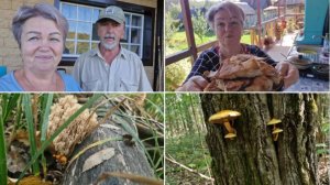 ПОГОДА РАДУЕТ,Я НА ТЕРРАСЕ. БЫЛИ В ЛЕСУ.