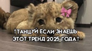 танцуй если знаешь этот тренд 2025 года