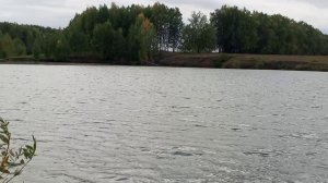 красивый пруд