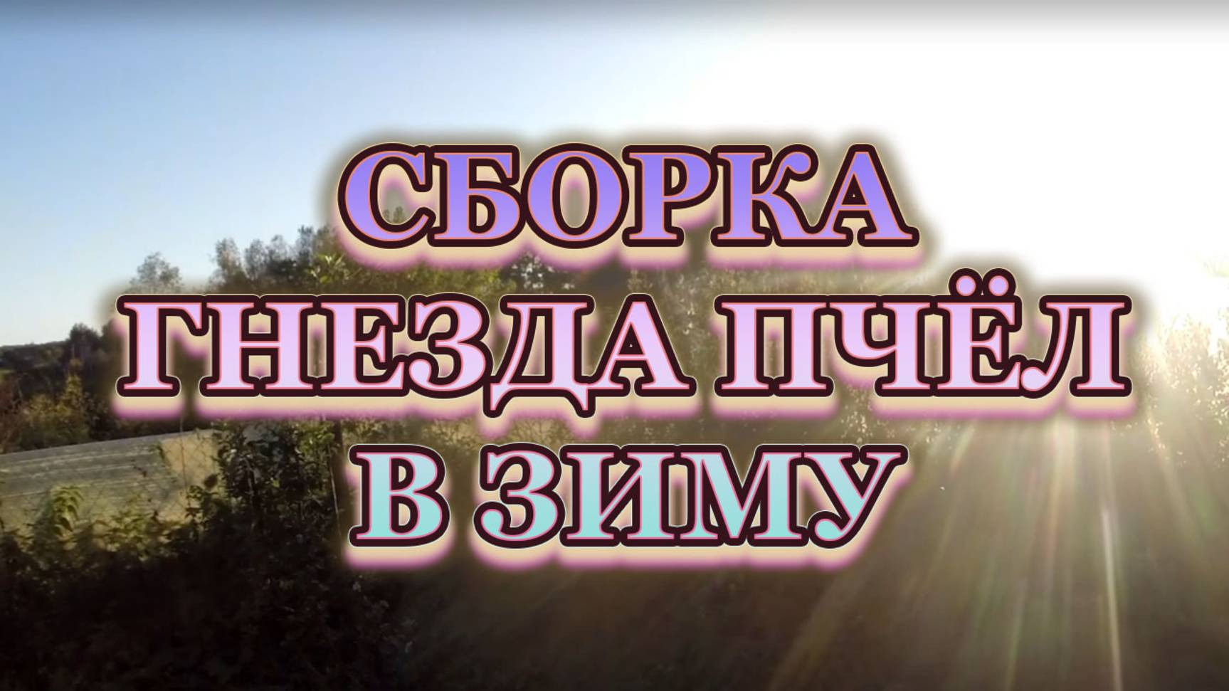 Сборка гнезда пчёл в зиму, всё подробно. смотреть онлайн