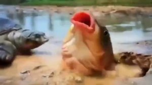 ПРИРОДА ДУШИ - СЛУЖЕНИЕ!