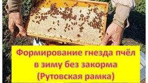 Формирование гнезда пчёл для зимовки на рутовской рамке (без закорма).