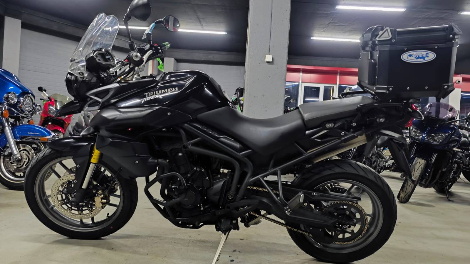 Видео WhatsApp 2024-09-14 в 18.07.45_9a7f3783