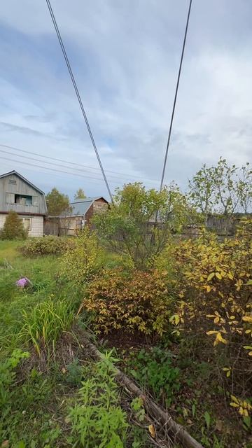 22-09-2025 смотреть онлайн