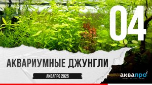 04. Аквариумные джунгли. #АкваПро