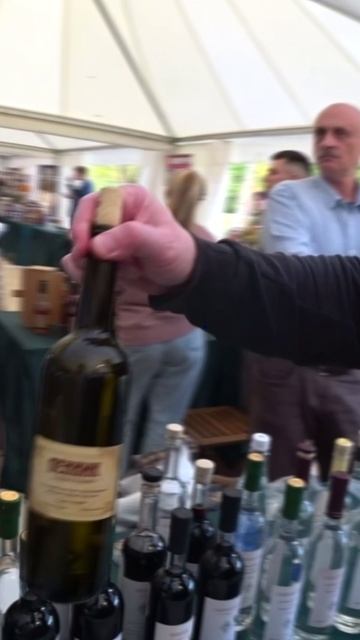 Самогонный ДАВОС в Пирогово 2025 #самозванцы #пирогово смотреть онлайн