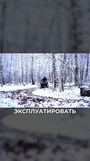Зимой на электрическом квадроцикле: реальный опыт смотреть онлайн