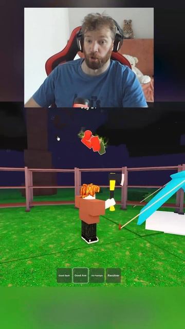 было такое? #roblox #роблокс смотреть онлайн