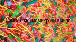 Самые опасные микробы в мире