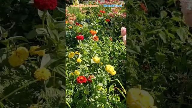 Цветочная сказка на зауральской даче смотреть онлайн