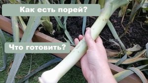 Как есть лук-порей? Не надо выдумывать и искать особые рецепты