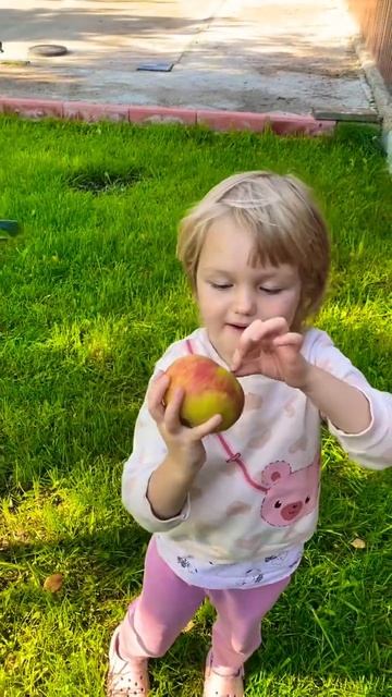 ЗЕМЛЯ ПЕРВОЕ ЯБЛОКО смотреть онлайн